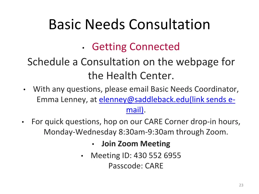 basic needs consultation