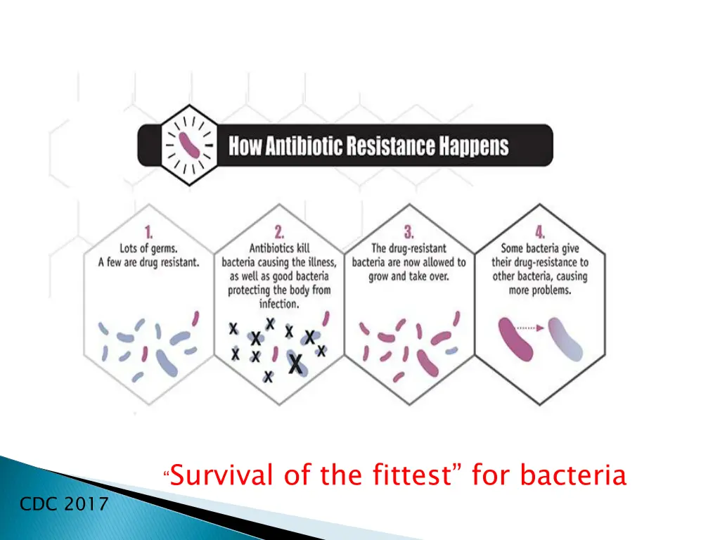 survival of the fittest for bacteria