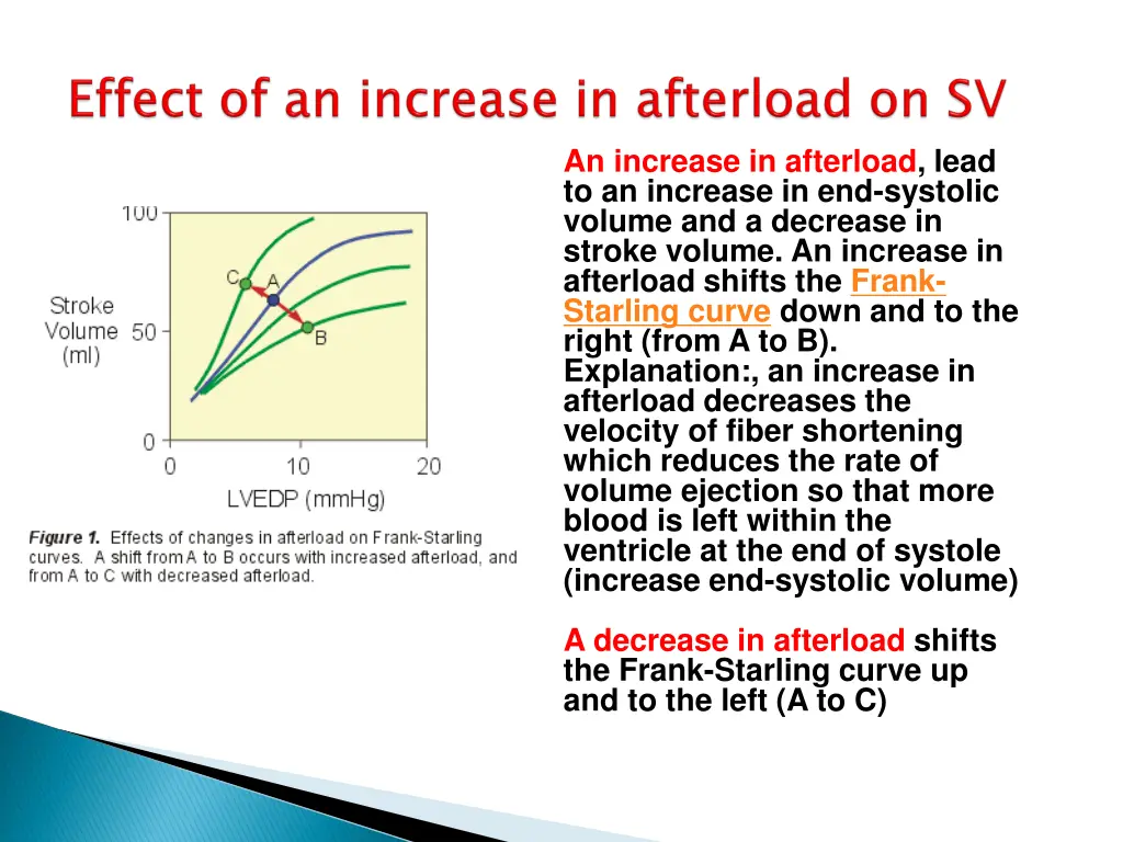 an increase in afterload lead to an increase