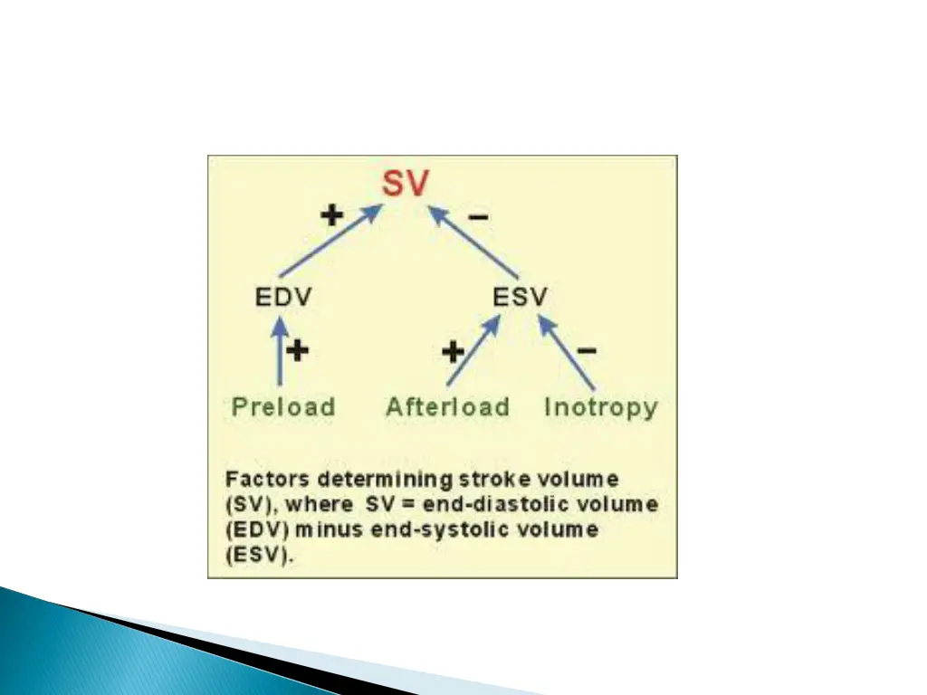 slide14