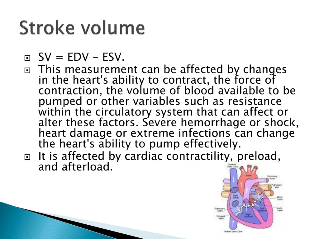 sv edv esv this measurement can be affected