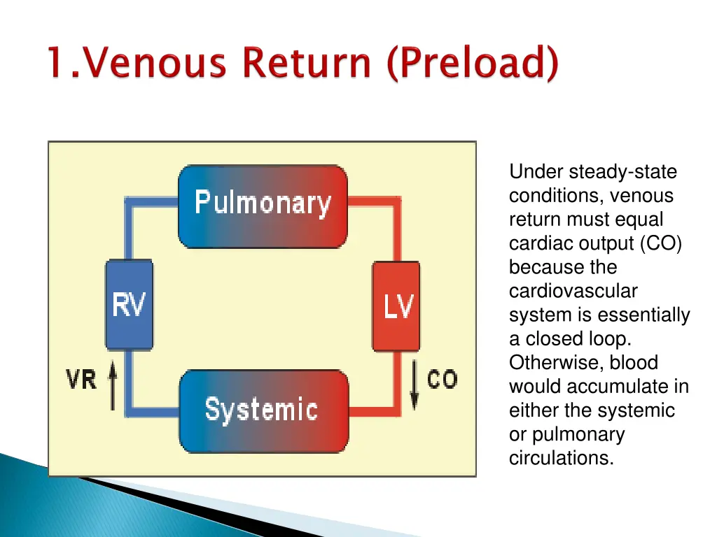 under steady state conditions venous return must