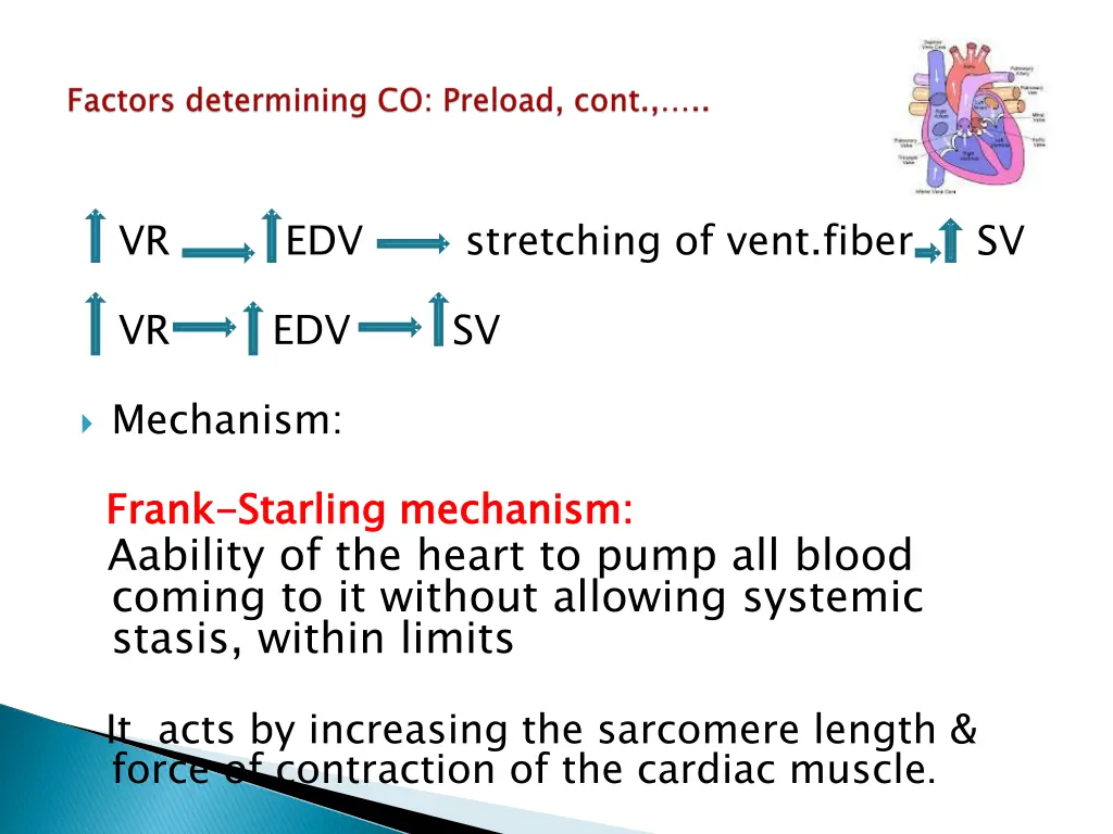 vr edv stretching of vent fiber sv