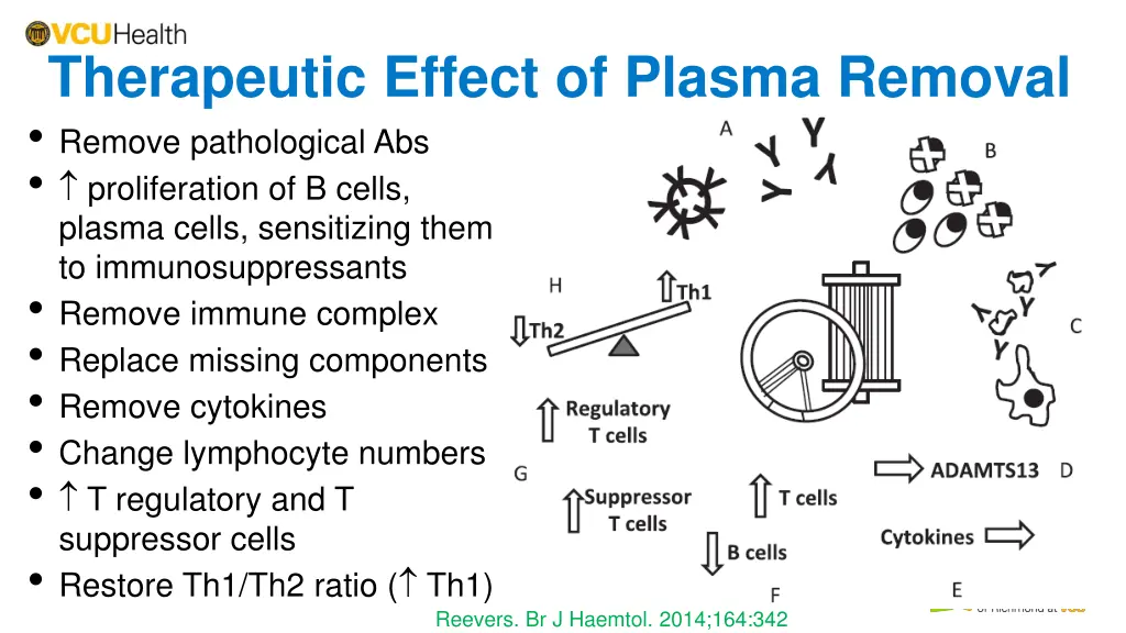 therapeutic effect of plasma removal remove