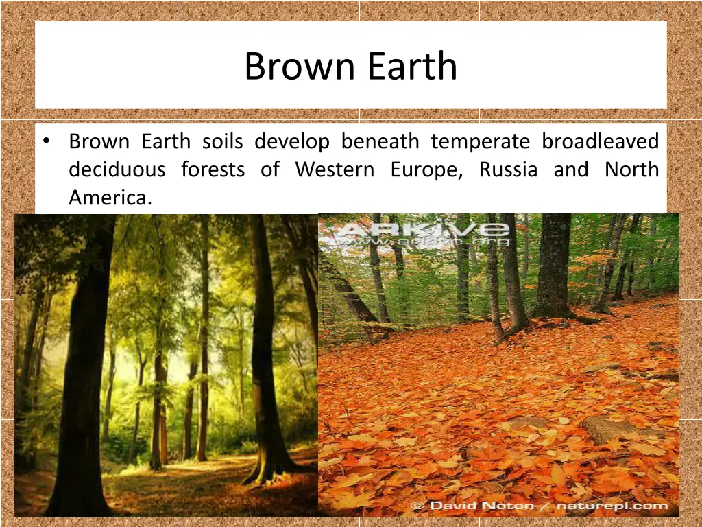 brown earth