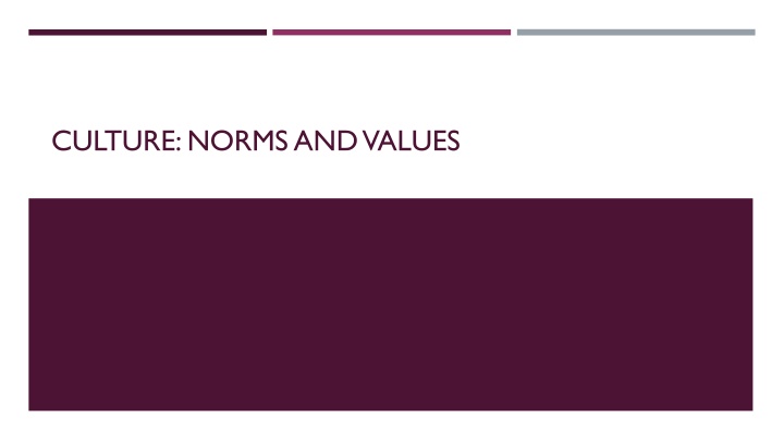 culture norms and values