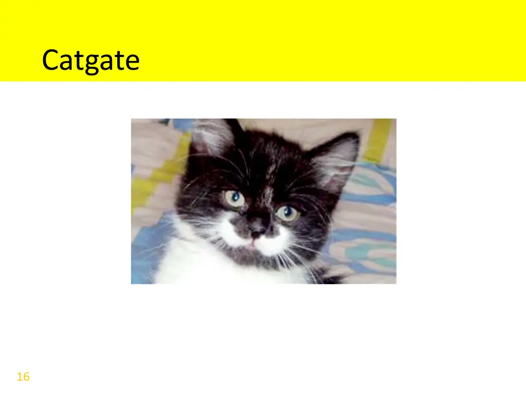 catgate