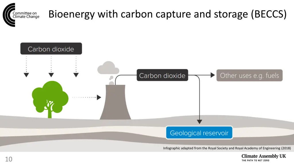 bioenergy with carbon capture and storage beccs