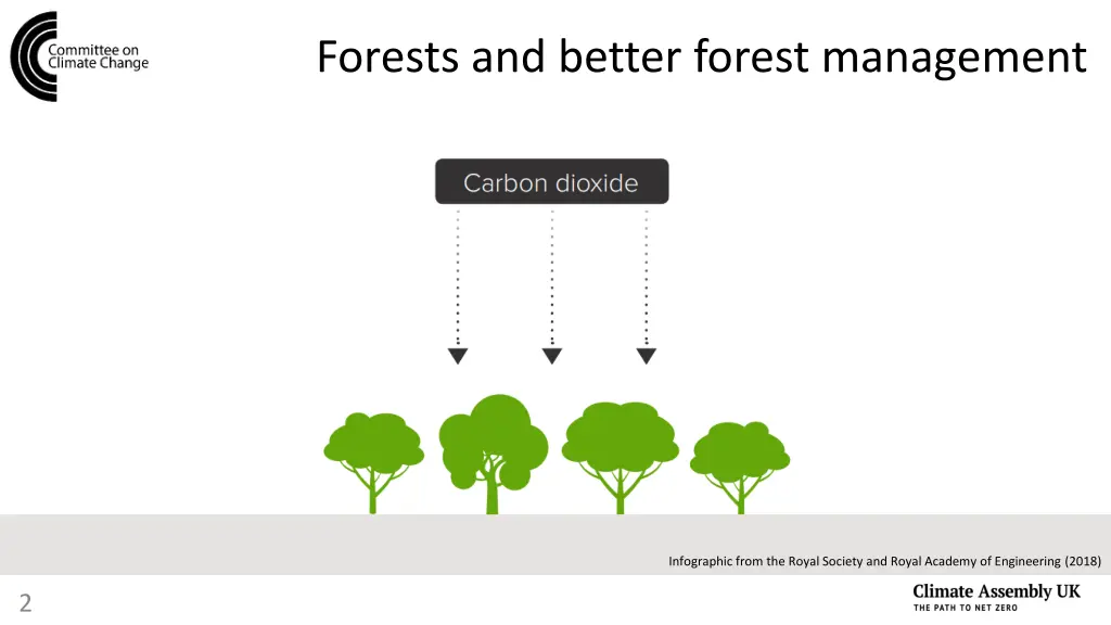 forests and better forest management