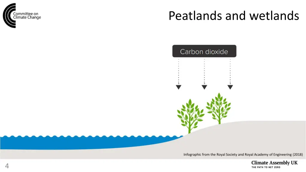 peatlands and wetlands