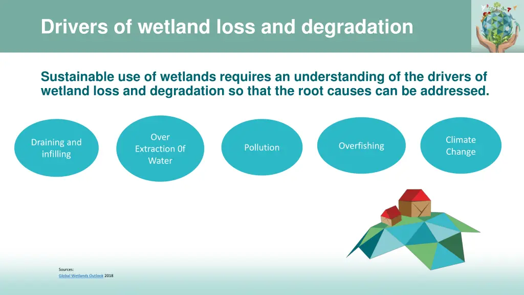 drivers of wetland loss and degradation