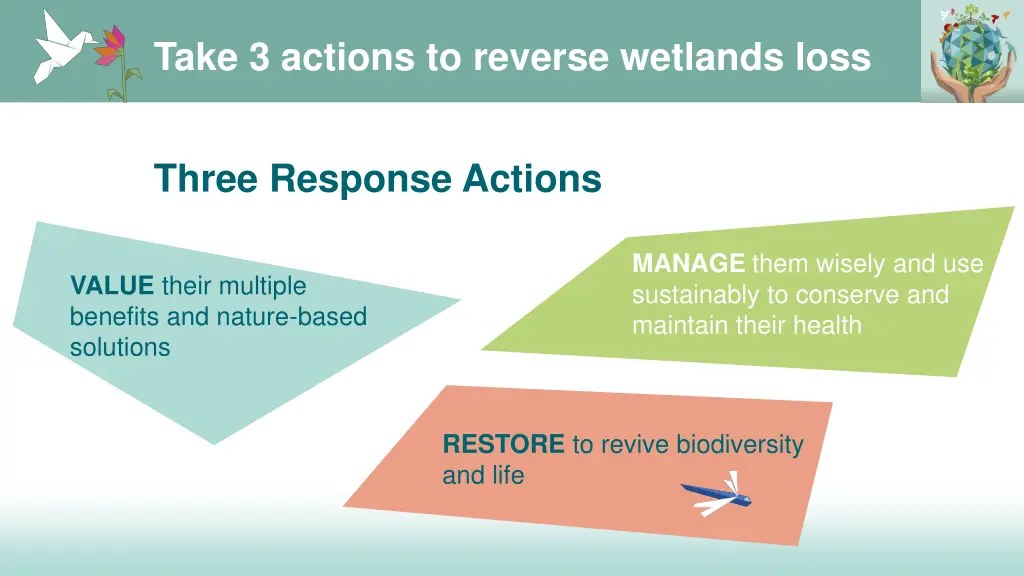 take 3 actions to reverse wetlands loss