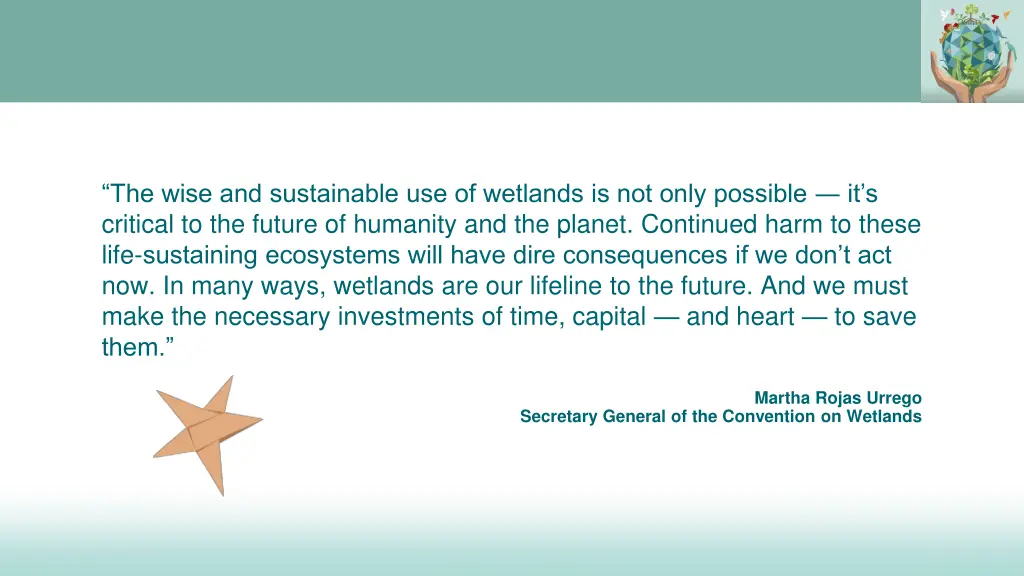 the wise and sustainable use of wetlands