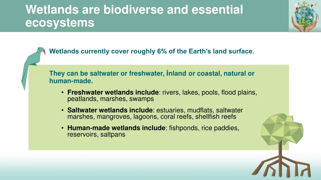 wetlands are biodiverse and essential ecosystems