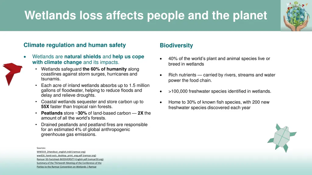 wetlands loss affects people and the planet 1