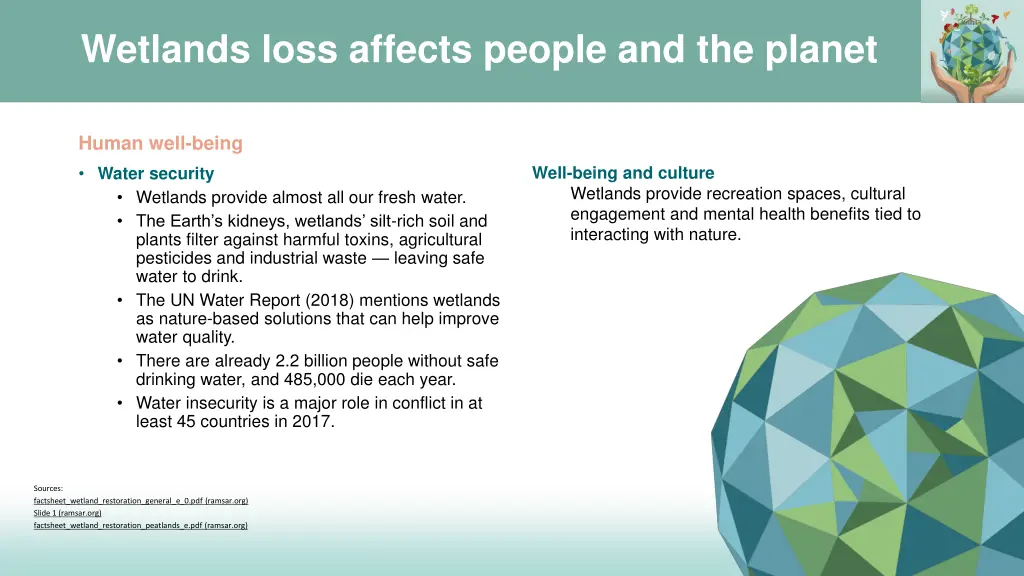 wetlands loss affects people and the planet