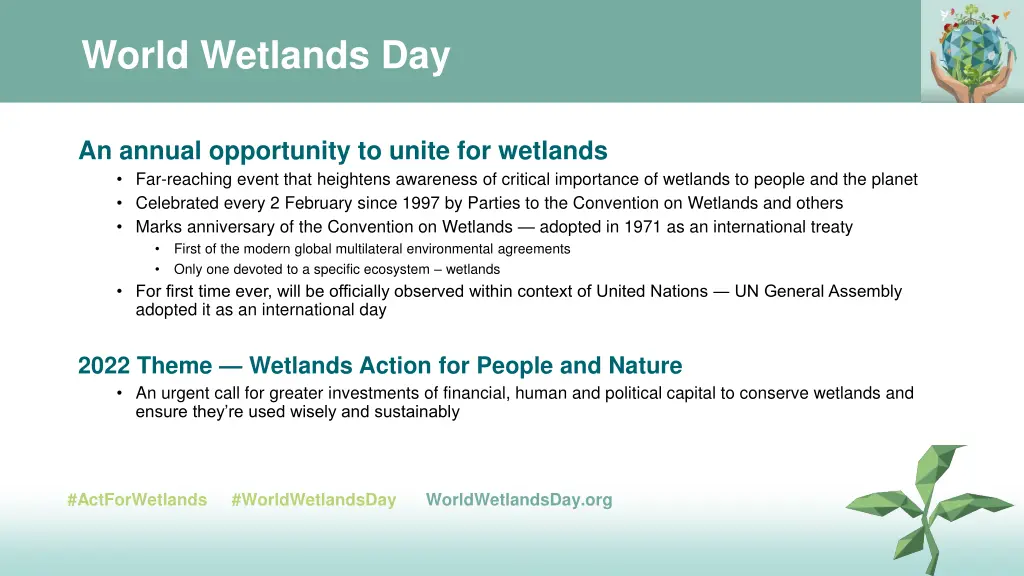 world wetlands day