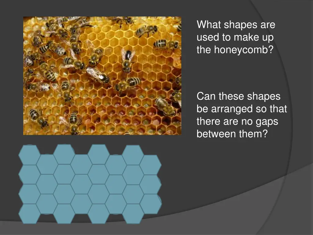 what shapes are used to make up the honeycomb