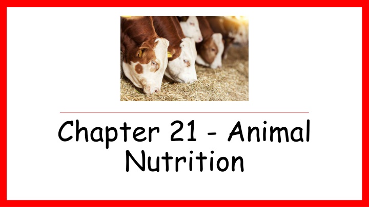 chapter 21 animal nutrition