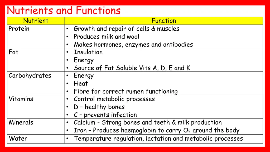 nutrients and functions nutrient protein