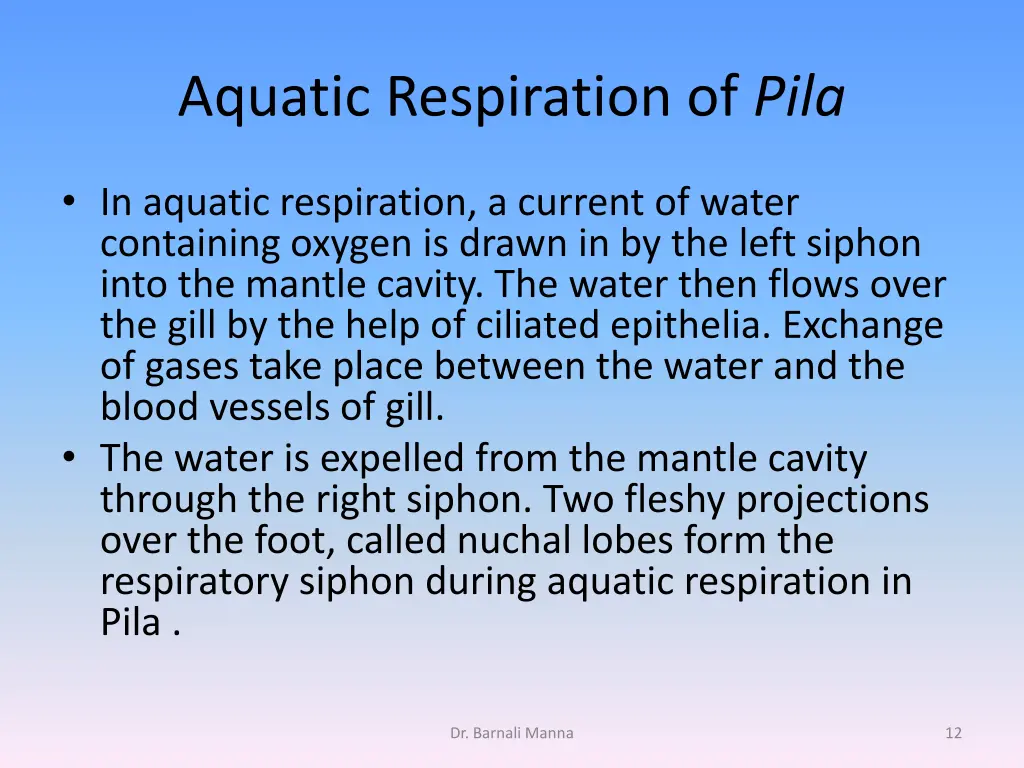 aquatic respiration of pila