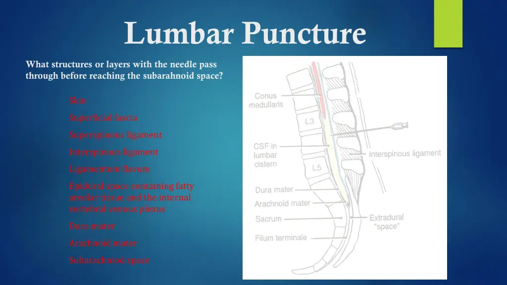 lumbar puncture