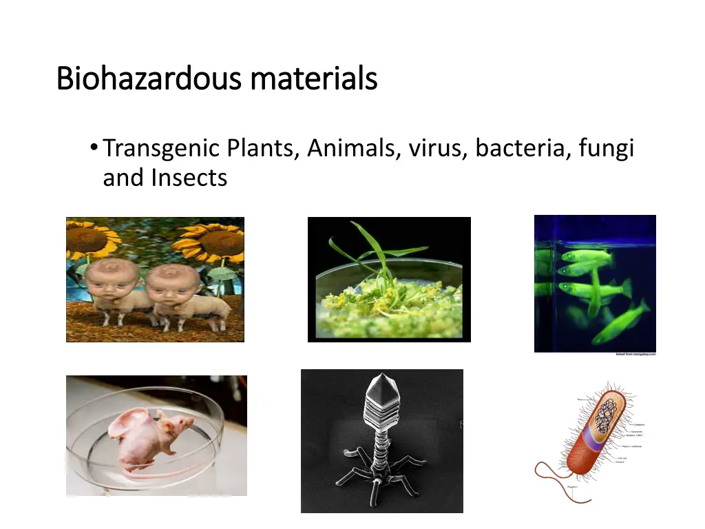 biohazardous biohazardous materials