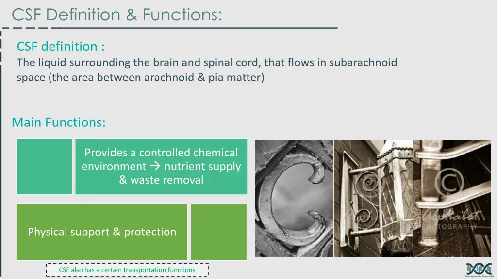 csf definition functions