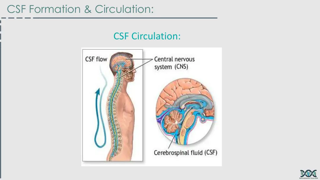 csf formation circulation 1