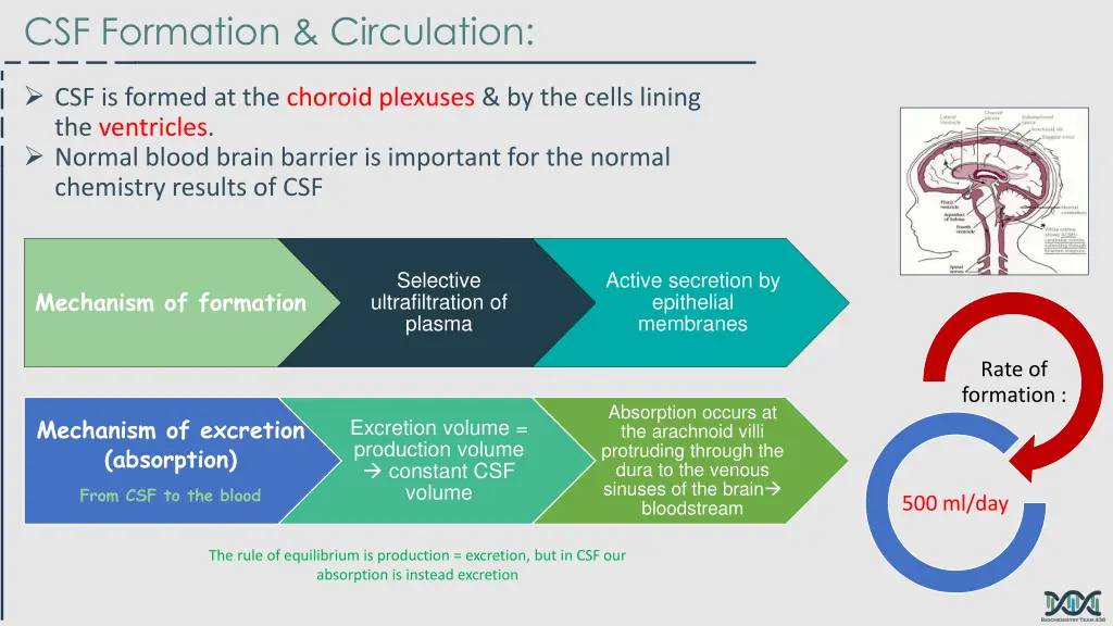 csf formation circulation