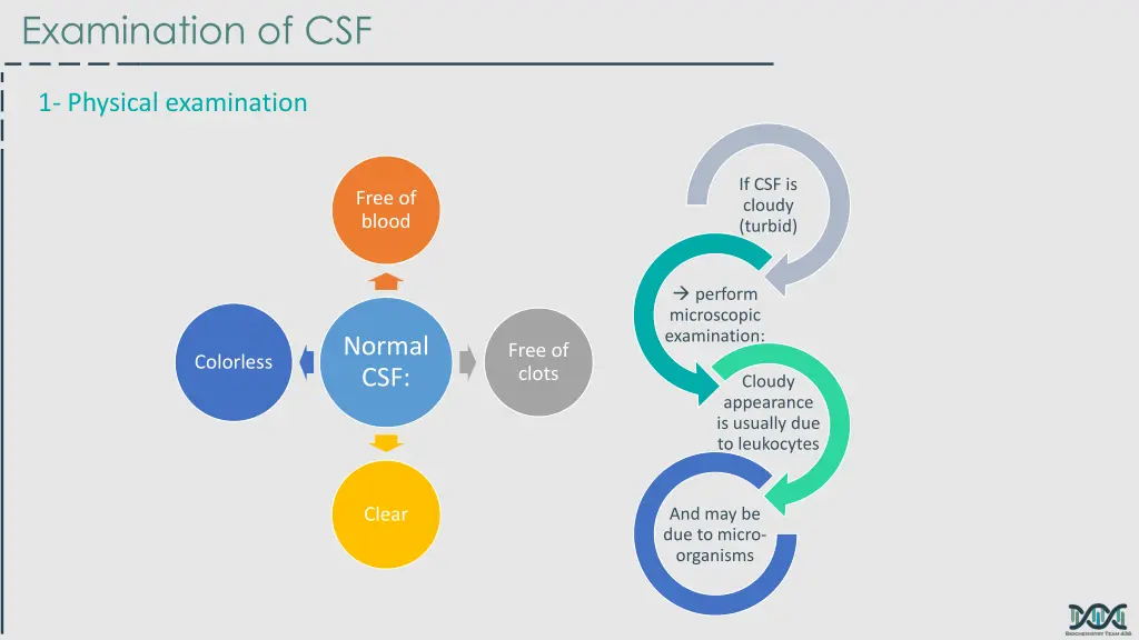 examination of csf