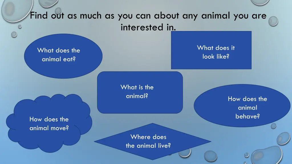 find out as much as you can about any animal