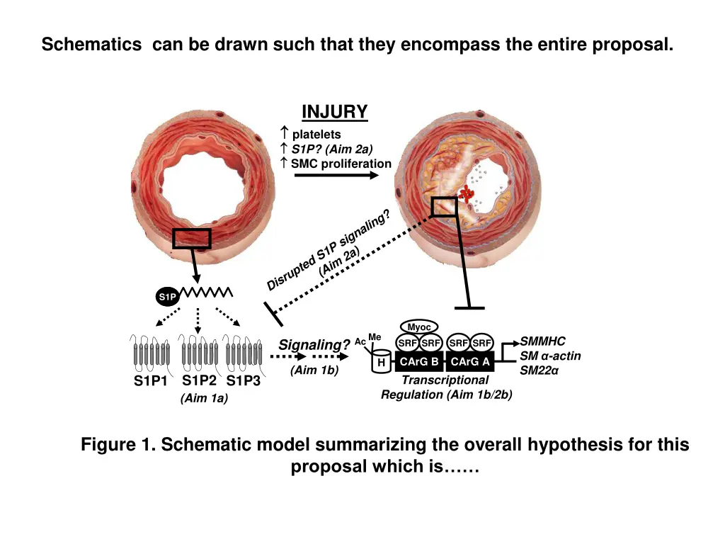 schematics can be drawn such that they encompass