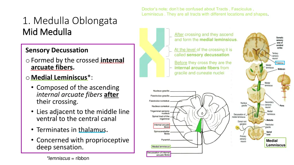 doctor s note don t be confused about tracts