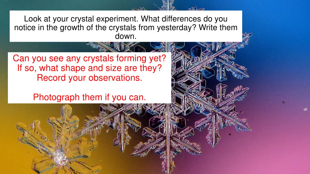 look at your crystal experiment what differences