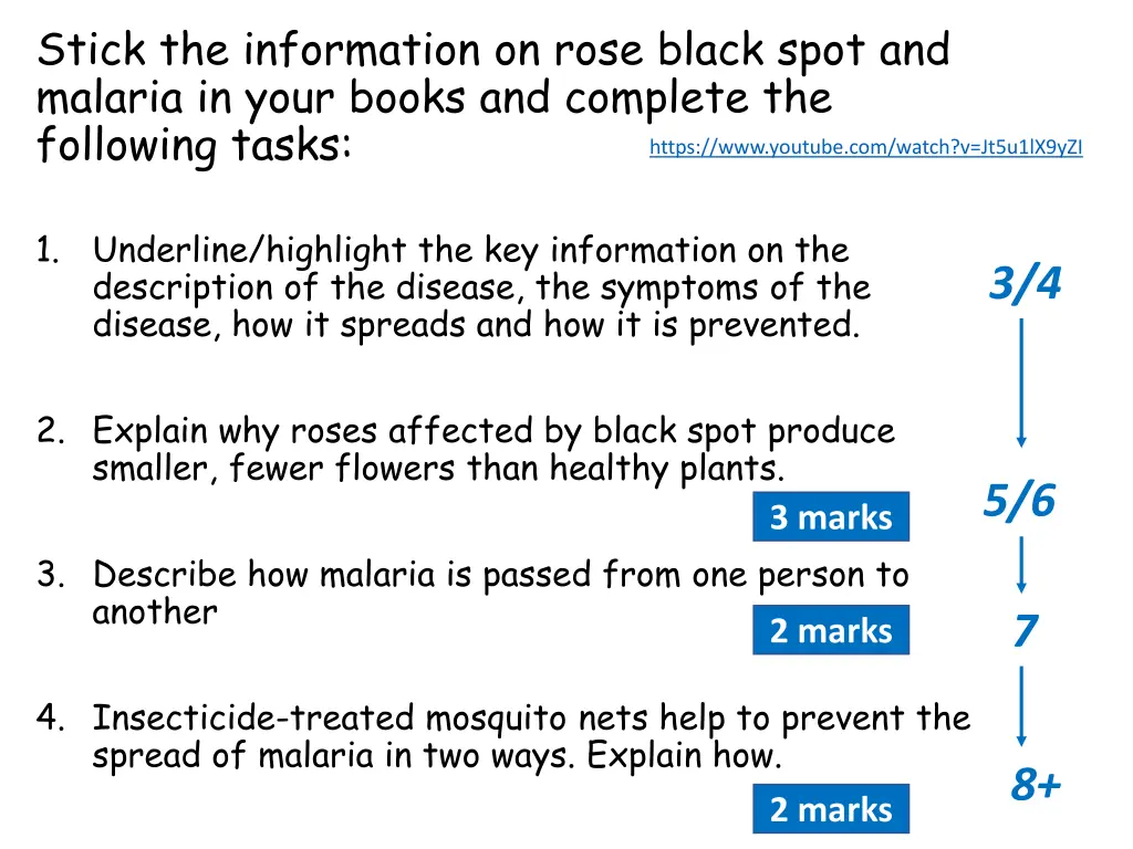 stick the information on rose black spot