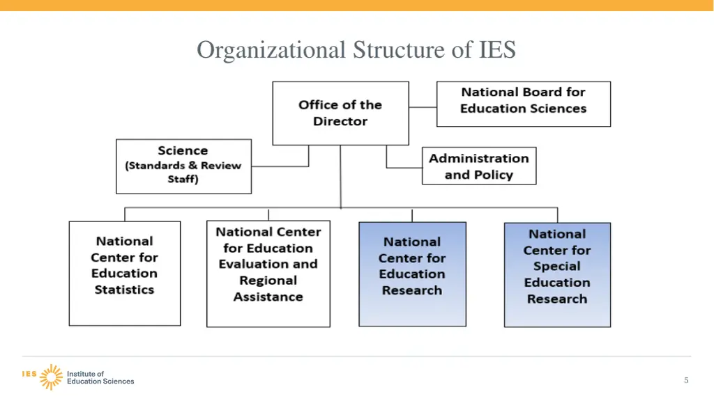 organizational structure of ies