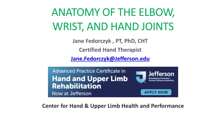 anatomy of the elbow wrist and hand joints