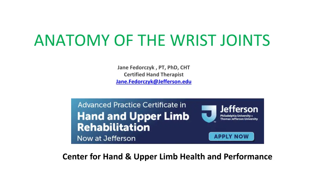 anatomy of the wrist joints