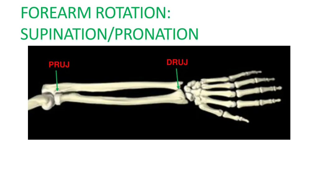 forearm rotation supination pronation