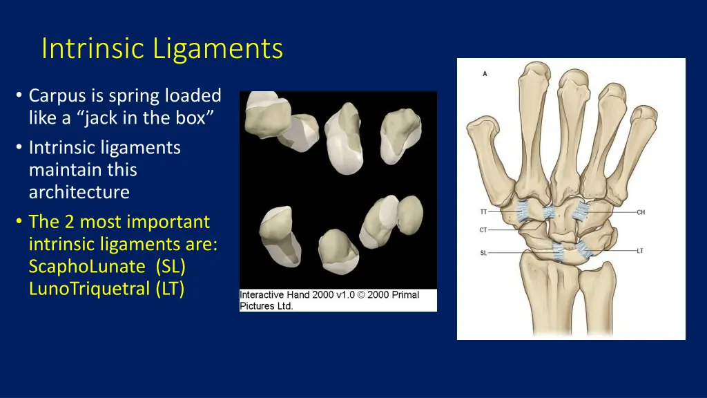 intrinsic ligaments 1