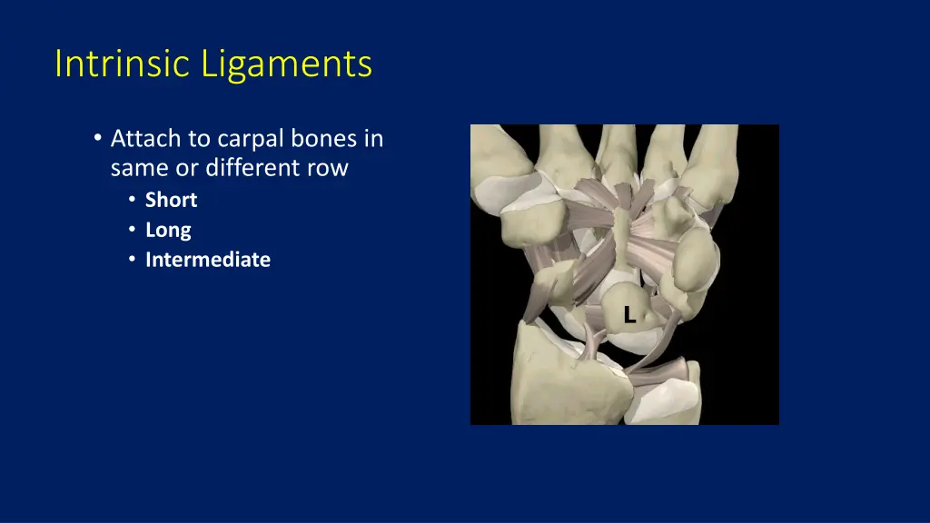 intrinsic ligaments