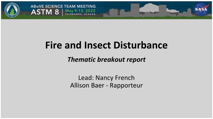 fire and insect disturbance