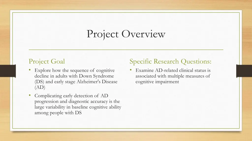 project overview 2