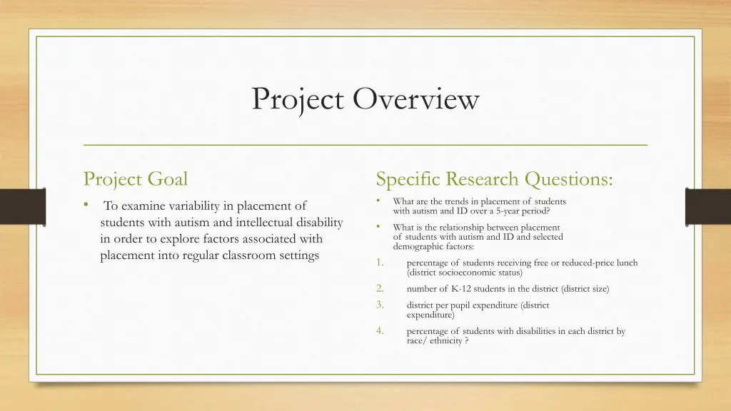 project overview