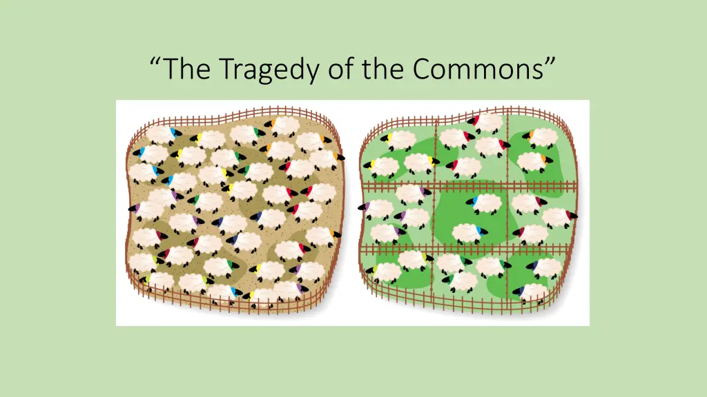 the tragedy of the commons 5