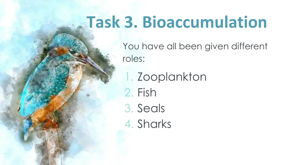 task 3 bioaccumulation 1