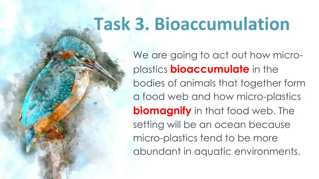 task 3 bioaccumulation