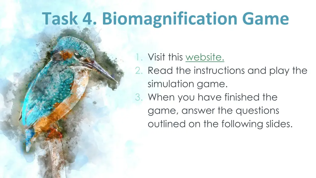 task 4 biomagnification game