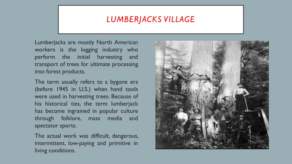 lumberjacks village